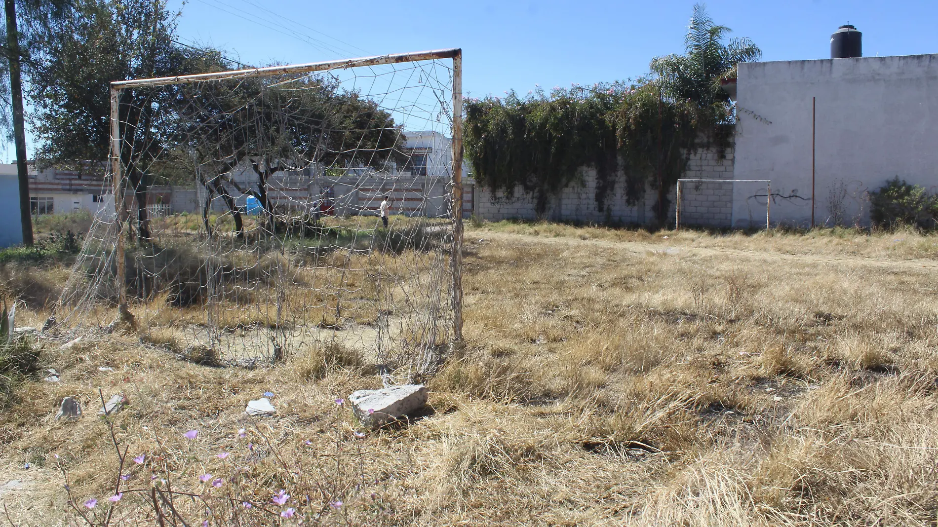 CANCHAS -SEXTA